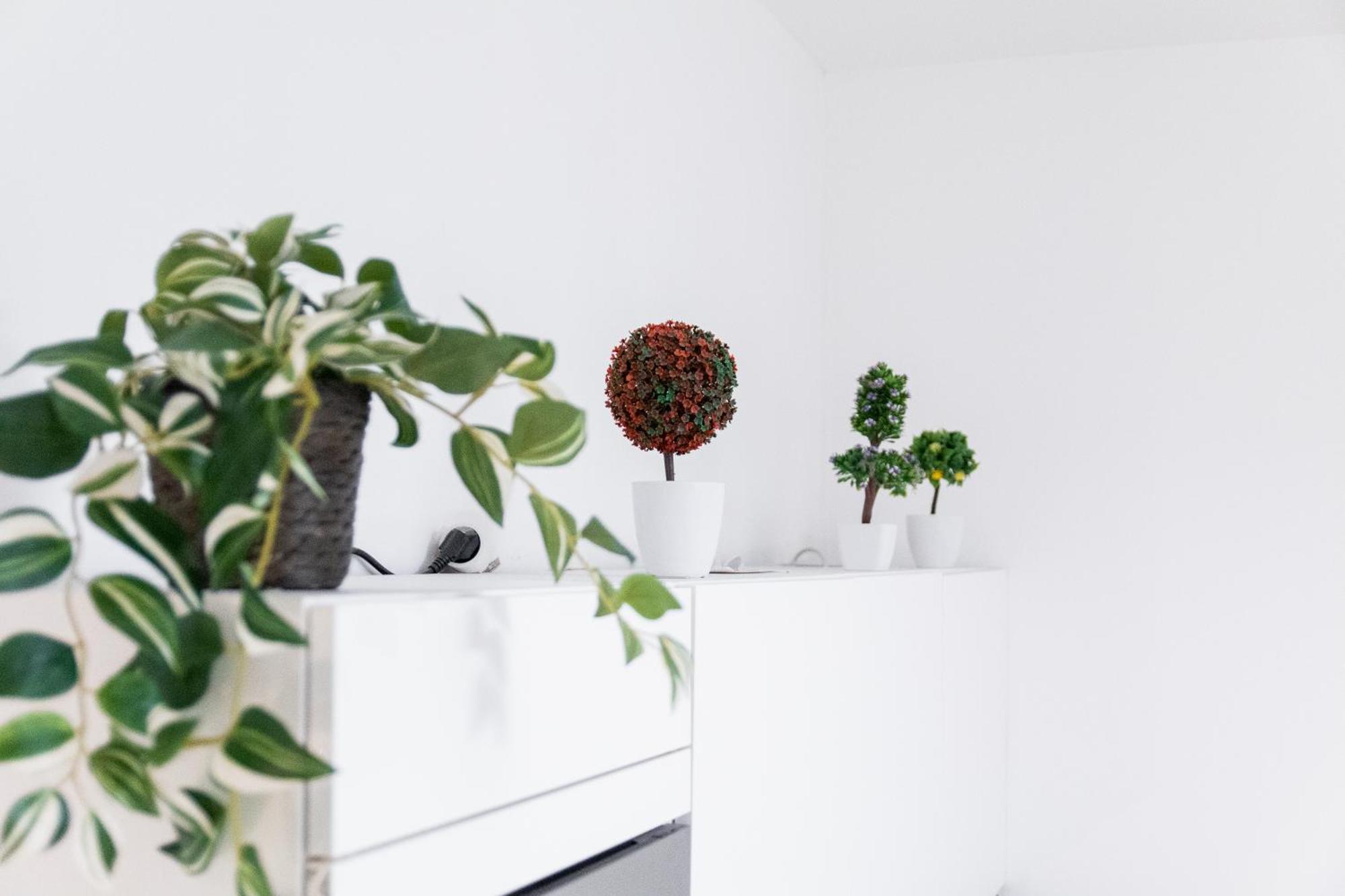 Apartamento Cozy Minimalist Retreat In The Heart Of Praga